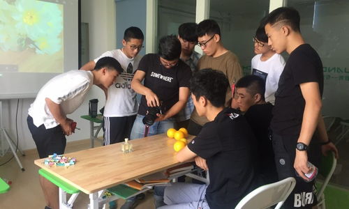 青島創藝教育與淘學培訓 教育咨詢服務體驗深度解析