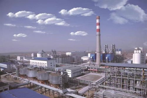 高鋁粉煤灰提取氧化鋁多聯(lián)產(chǎn)技術 創(chuàng)新示范引領循環(huán)經(jīng)濟發(fā)展